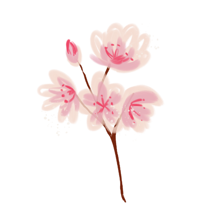 春天浪漫粉红色樱花手绘樱花梅花桃花花朵图片PNG免扣素材