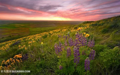 唯美黄昏山脉风景画