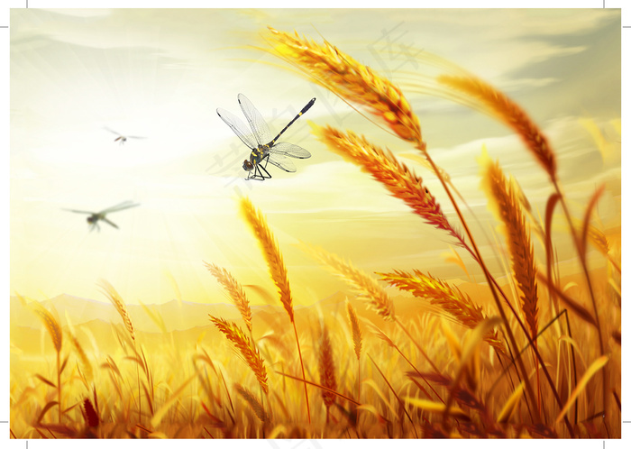 装饰画|客厅|海报画|电表箱装饰画|挂画