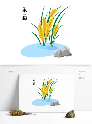 水稻矢量插画素材