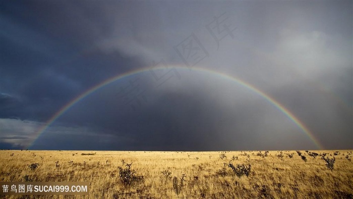 草地唯美风景画