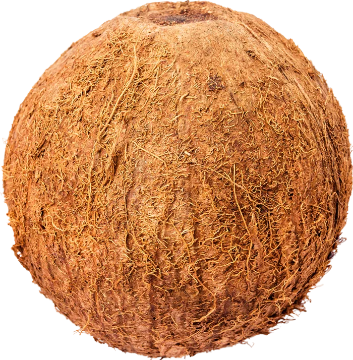 02_Coconut