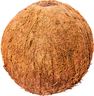 02_Coconut