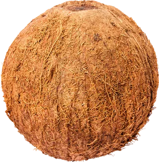 02_Coconut