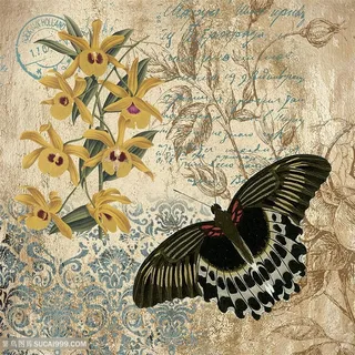 欧式蝴蝶花朵装饰画 欧式蝴蝶花朵装饰画