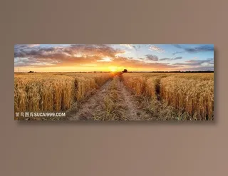 美丽麦田景色高清图