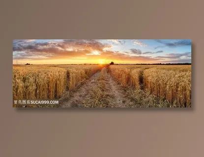 美丽麦田景色高清图 美丽麦田景色高清图