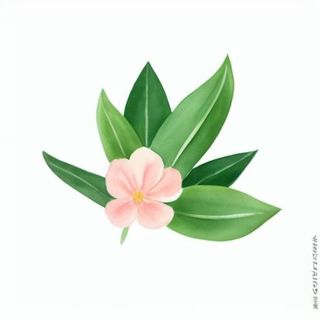 一朵花有绿叶环绕png免抠