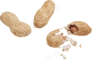 免扣png花生 