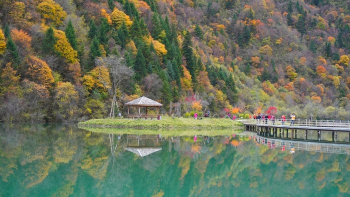 黑水洛哩错彩林