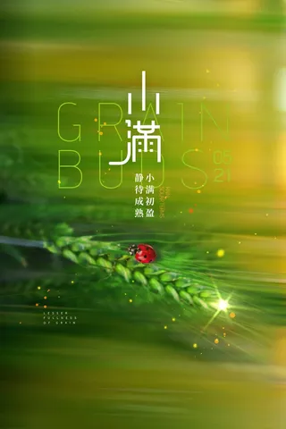 小满 小满活动宣传