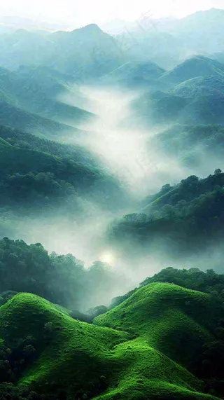 中国风高山绿植森林丛林，阳光蓝天白云，户外