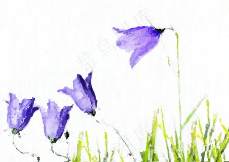 郁金香油画白色壁纸图片 郁金香油画白色壁纸图片