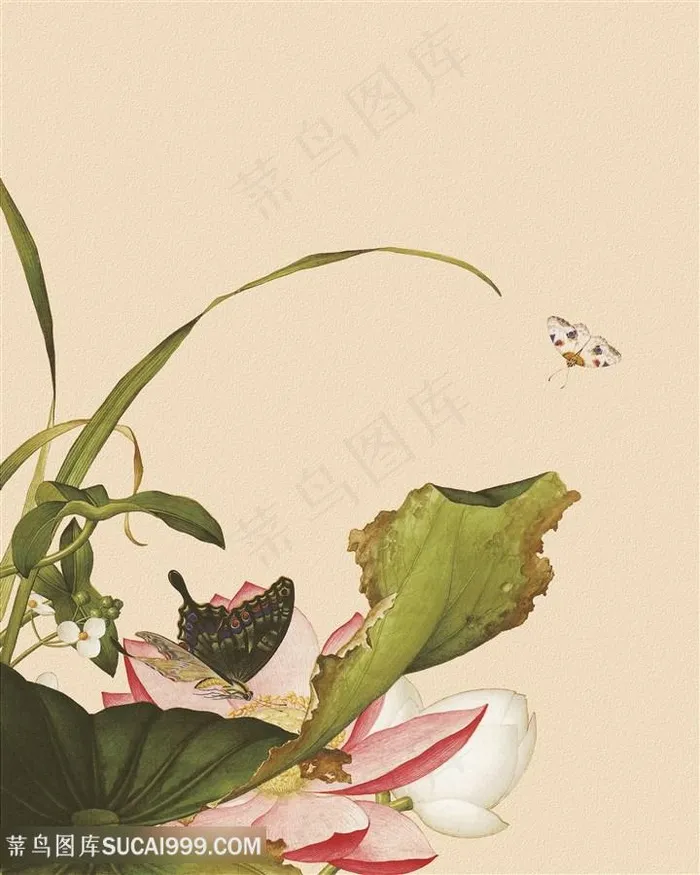 郎世宁 国画莲花装饰画