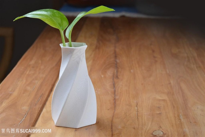 绿叶静物在木桌上