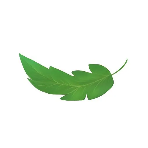 叶子树叶免抠(2048x2048)