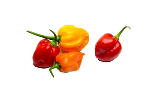 灯笼彩椒超市商品白底图免抠实物摄影png格式图片透明底
