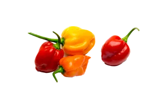 灯笼彩椒超市商品白底图免抠实物摄影png格式图片透明底