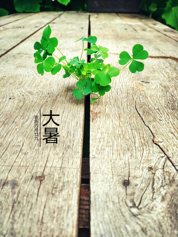 农历大暑节气图片