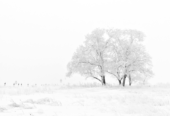 高清雪地雪景
