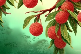 荔枝清新国风淡绿色背景