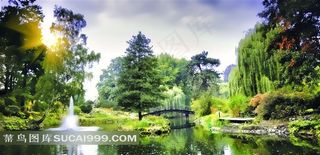 公园湖畔树木景观风光摄影图片