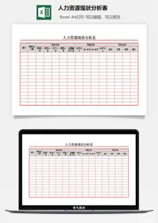 人力资源现状分析表excel模板