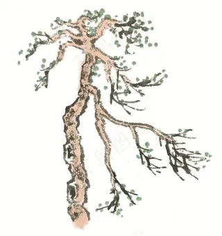 树木美图jpg素材