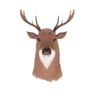 鹿麋鹿动物免抠