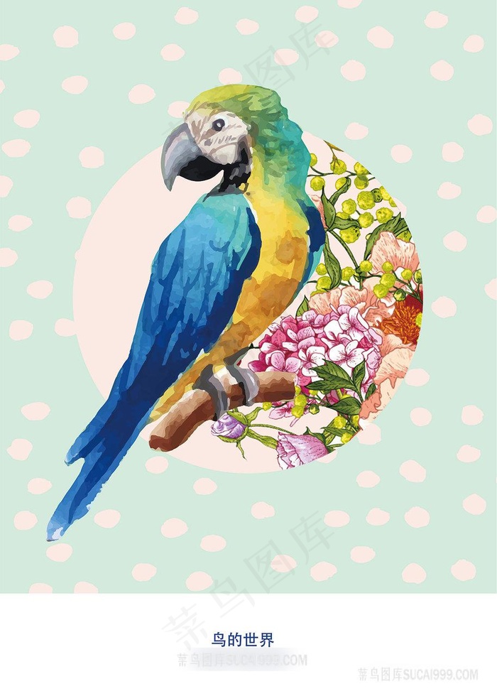 水彩鹦鹉花卉插画