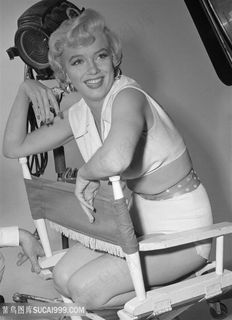 黑白唯美玛丽莲梦露高清装饰画