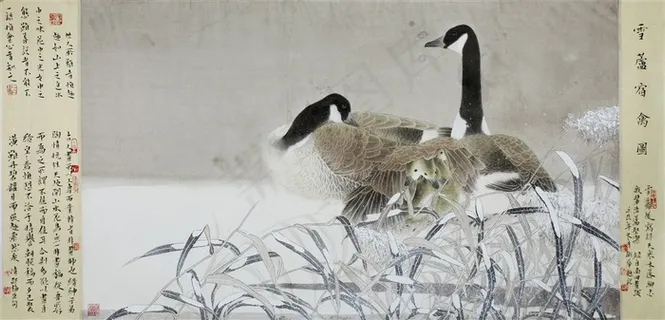 雪芦宿禽图工笔画