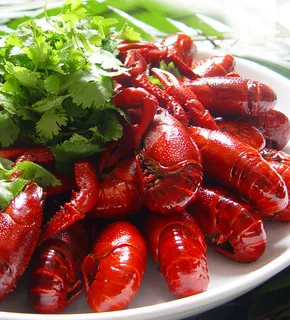 麻辣小龙虾  麻辣小龙虾