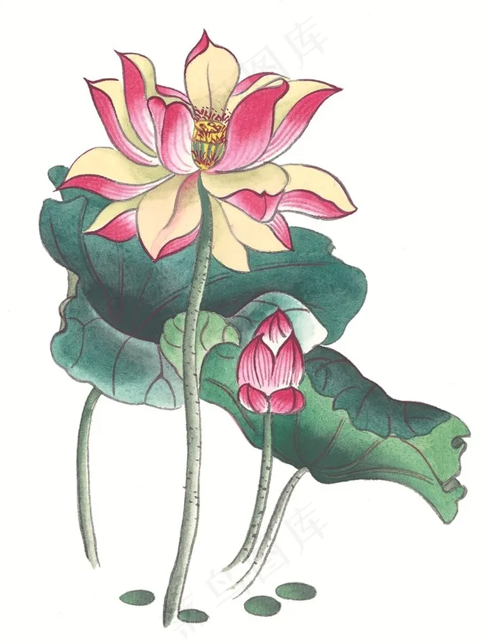 写意花卉设计jpg素材