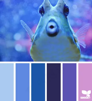 动物配色色卡色彩搭配