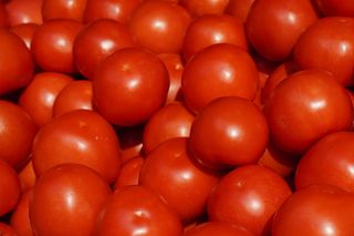 红色番茄图片