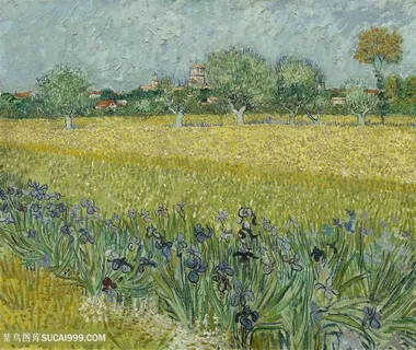 梵高鸢尾花田野风景油画图片 梵高鸢尾花田野风景油画图片