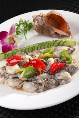 R02566生蚝海螺片 (2)