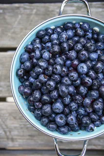 蓝莓新鲜水果