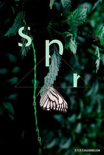 绿叶时尚植物插画