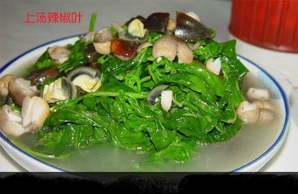 上汤辣椒叶美食元素菜品psd模版下载