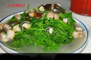 上汤辣椒叶美食元素菜品