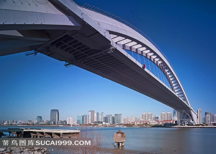 上海浦东卢浦大桥风景