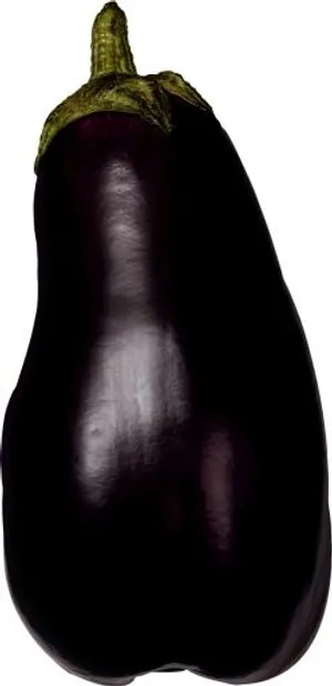 茄子PNG图像免费下载免抠