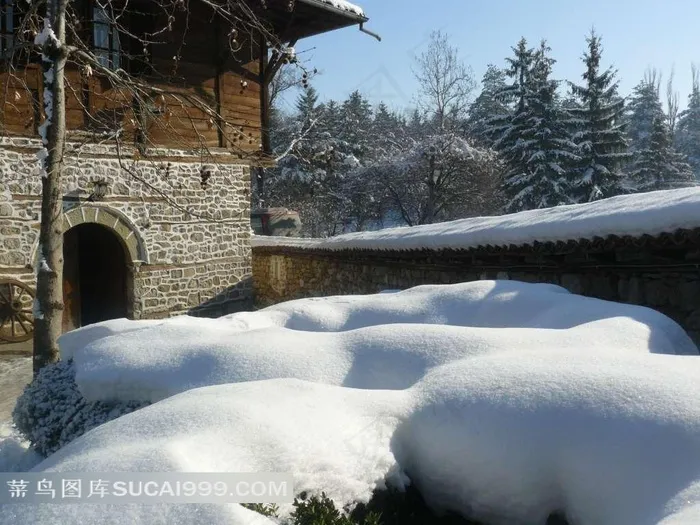 积雪的树木和古建筑