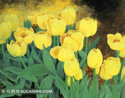 黄色郁金香鲜花素材