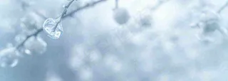冬天冰枝冰冷枝叶雪球，小雪大雪冬至