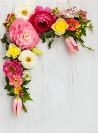 美丽的花环植物高清图