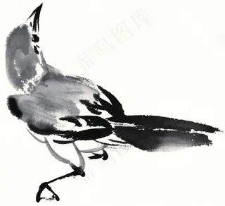 鸟禽文化艺术素材