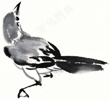 鸟禽文化艺术素材 鸟禽文化艺术素材